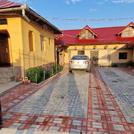 Casa Andreea Hotell Novaci-Străini Exteriör bild