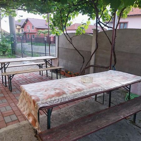 Casa Andreea Hotell Novaci-Străini Exteriör bild